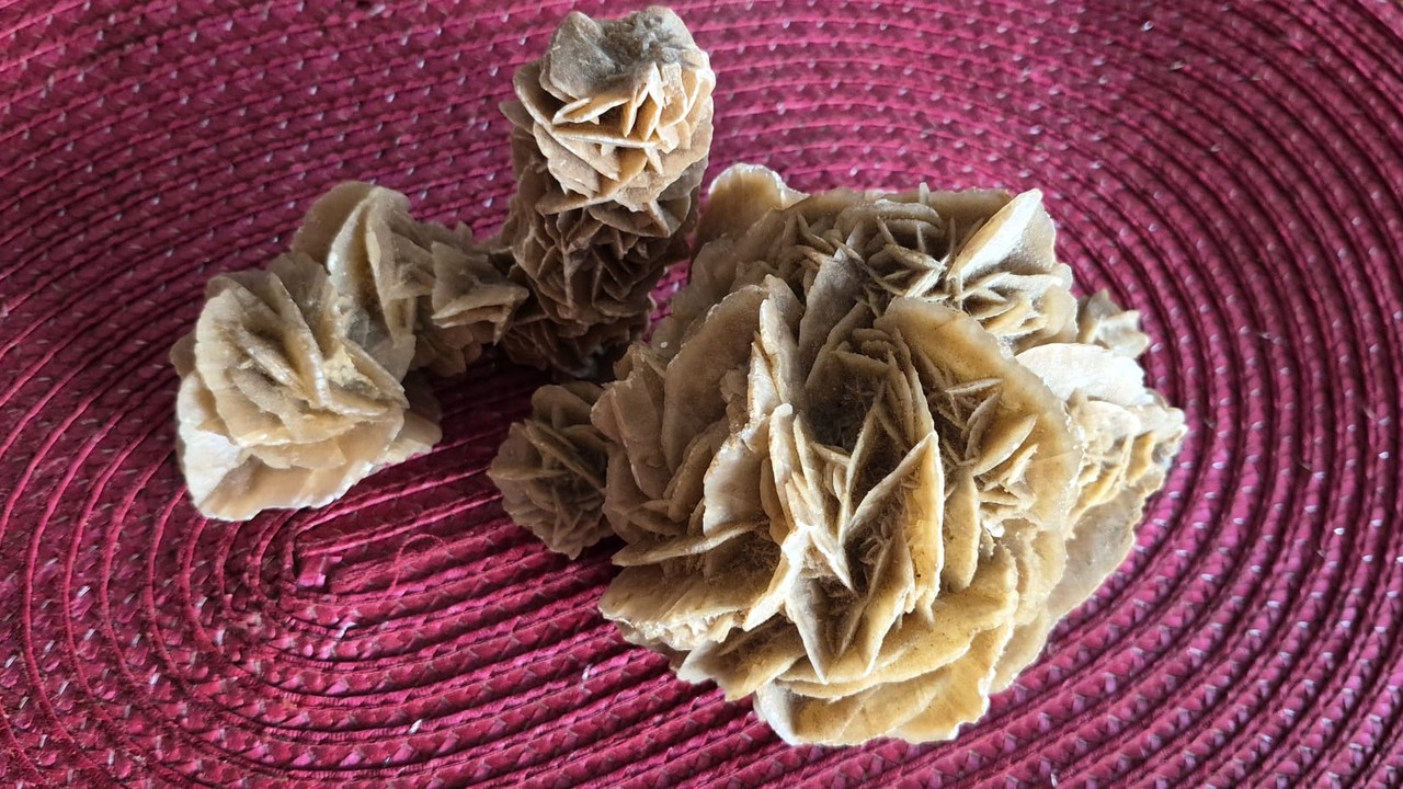 La rosa del deserto - il fiore di pietra e il suo significato